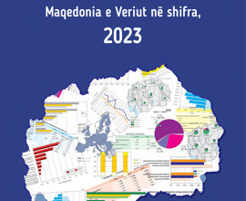 Maqedonia e Veriut në shifra